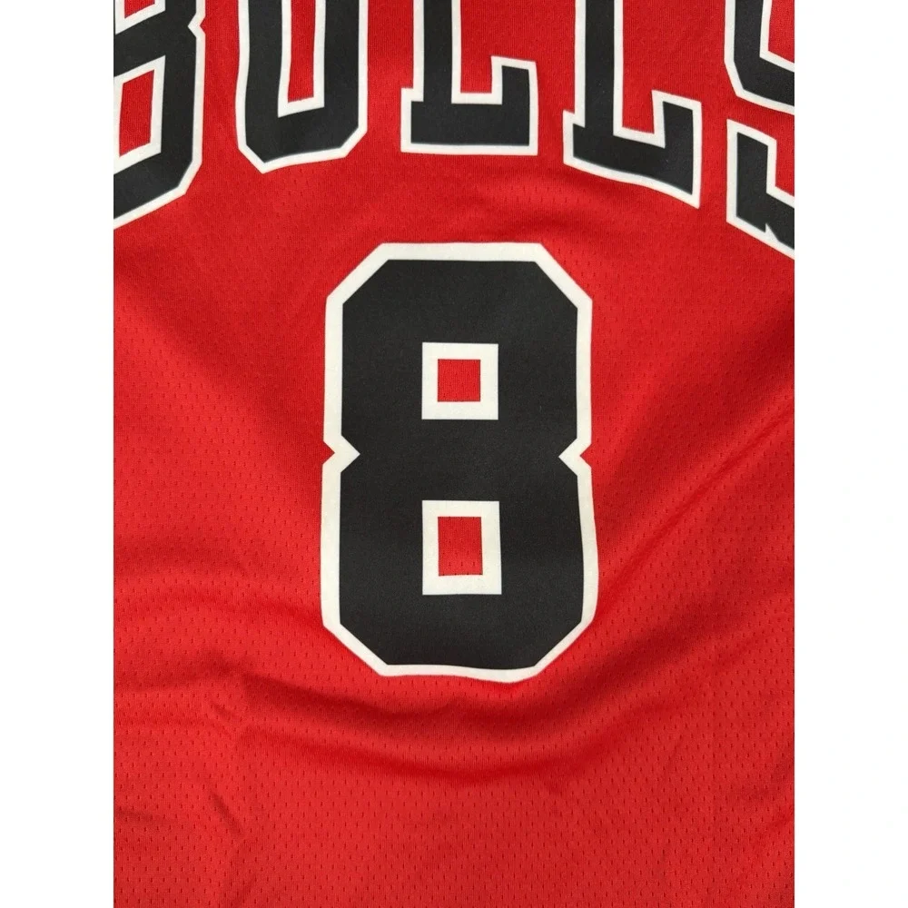 Nike NBA Chicago Bulls Zach LaVine #8 Swingman Jersey Red Mens Large 48